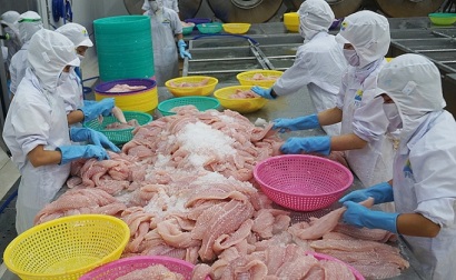 Chủ động quảng bá hình ảnh cá tra