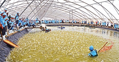 Ứng dụng công nghệ cao trong thủy sản