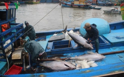 Ngư dân Bình Định khởi động mùa khai thác hải sản mới