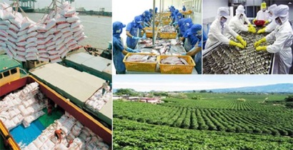 Tập trung gỡ khó xuất khẩu nông sản