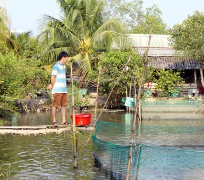 Thị xã Ngã Bảy (Hậu Giang) Gần 18ha nuôi cá tra đạt chuẩn GAP