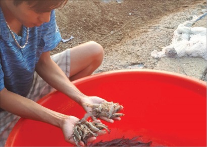 Người nuôi tôm khá ‘cô đơn’ trong việc tìm, chọn mua con giống