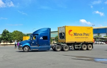 Minh Phú đặt mục tiêu sản xuất hơn 10.000 tấn tôm và tấn công thị trường Trung Quốc