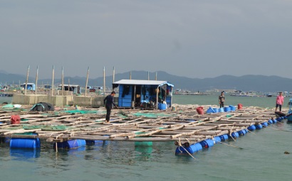 Để nuôi trồng thủy sản thành công

