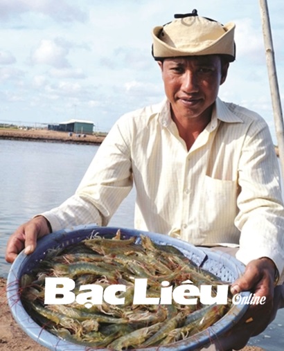 Nuôi 7ha tôm, lãi hơn 4 tỷ đồngnăm