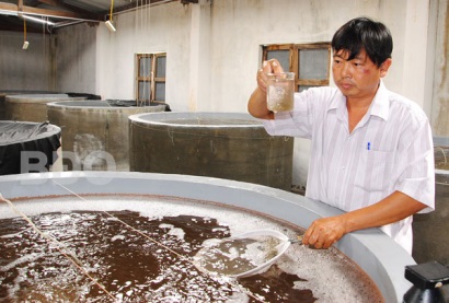 Bình Định Ðảm bảo an toàn cho vụ nuôi tôm mới Tăng cường quản lý chất lượng giống