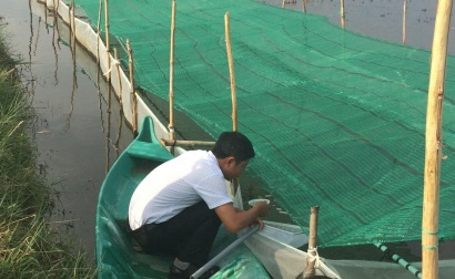 Toàn tỉnh Khánh Hòa có 24 cơ sở sản xuất tôm sú giống