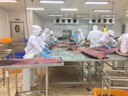 Nâng chất lượng cá ngừ