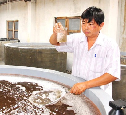Siết quản lý chất lượng tôm giống