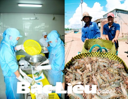 Bạc Liêu Tăng trưởng kinh tế 2019 Đột phá từ con tôm