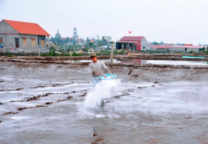 Kim Sơn (Ninh Bình) Sẵn sàng cho vụ nuôi tôm mới
