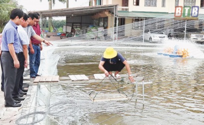 Thái Bình Doanh nghiệp góp phần nâng cao giá trị sản xuất thủy sản