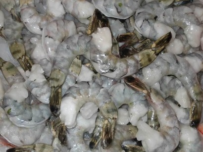 Ngày 542019, đấu giá lô tôm sú lột PTO tại tỉnh Bạc Liêu