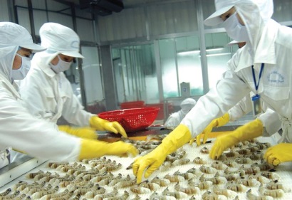 FTA mở đường tăng trưởng cho doanh nghiệp thủy sản