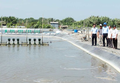 Hướng đi nào cho nuôi tôm công nghệ cao