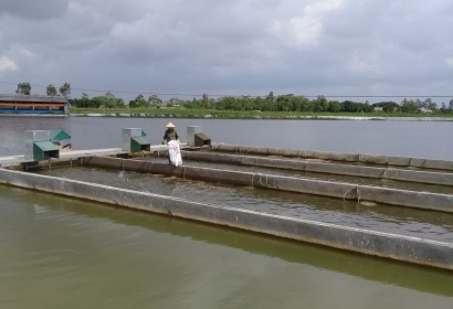 Hà Nam Mô hình nuôi cá ứng dụng công nghệ ‘sông trong ao’