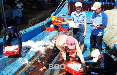 Bình Định Xác nhận nguồn gốc của nguyên liệu thủy sản Nghiêm túc, hiệu quả và có trách nhiệm