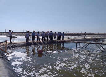 Khuyến nông TP. HCM Đưa nông dân tham quan và học tập kinh nghiệm nuôi tôm hai giai đoạn ứng dụng công nghệ cao