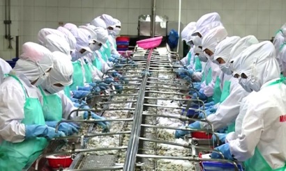 10 tỷ USD và cơ hội của xuất khẩu thủy sản