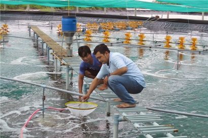 Bạc Liêu Đầu tư hơn 7 tỷ đồng cho nông dân nuôi tôm ứng dụng công nghệ cao