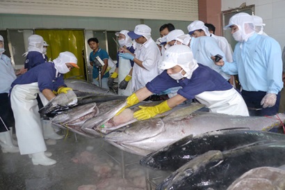 Cơ hội từ CPTPP (Kỳ III) Chile - thị trường đầy tiềm năng