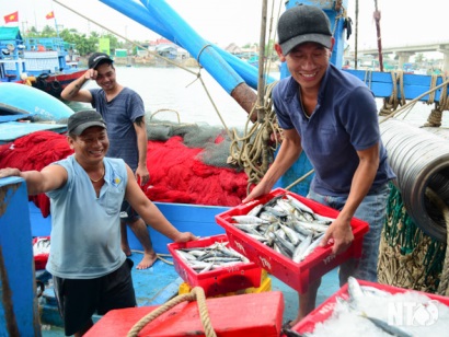 Ninh Thuận Bước khởi động mới cho vụ cá Nam