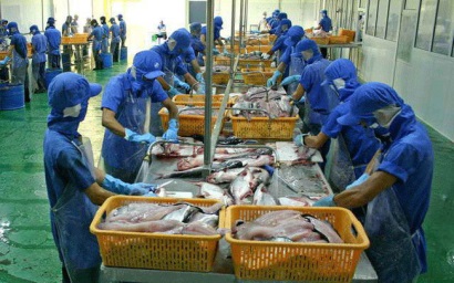 Thủy sản Cửu Long An Giang (ACL) Quý 12019 lãi 54 tỷ đồng cao gấp 9 lần cùng kỳ