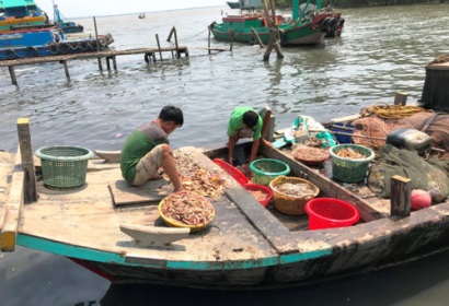 Vào mùa tôm biển