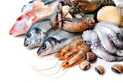 ASC triển khai chứng nhận nhóm cho ngành thủy sản Việt Nam