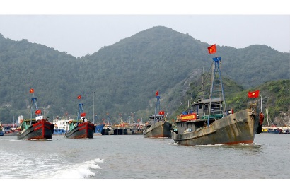 Khai thác vụ cá Bắc 2018-2019 Sản lượng cao nhất từ trước đến nay