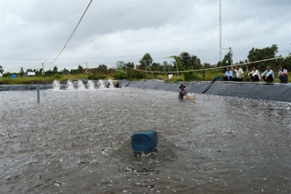 Vụ tôm đầy ắp niềm vui