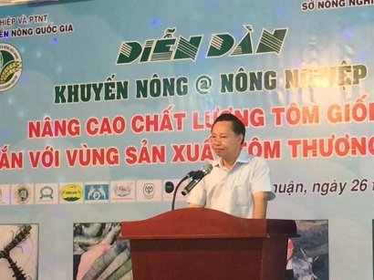 Nâng chất lượng tôm giống