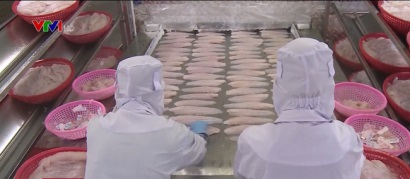 Tác động thị trường cá tra khi Mỹ tăng thuế chống bán phá giá