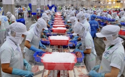 CTCP Nam Việt Mục tiêu rải cá tra khắp thị trường Trung Quốc!