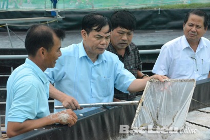 Bạc Liêu Nghiệm thu kết quả thực hiện dự án “Xây dựng mô hình nuôi tôm thẻ chân trắng”