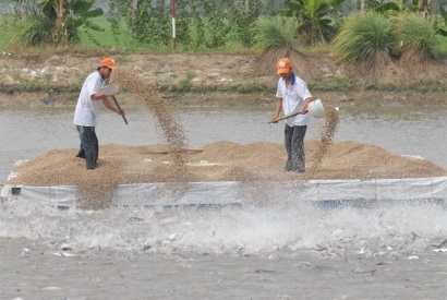 Đồng Tháp Mười hướng đến nuôi thủy sản bền vững