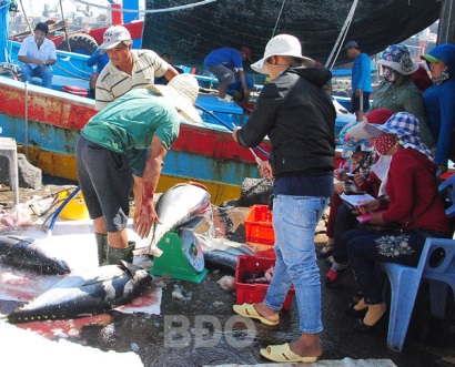 Bình Định Sản lượng thủy sản khai thác tăng 5%