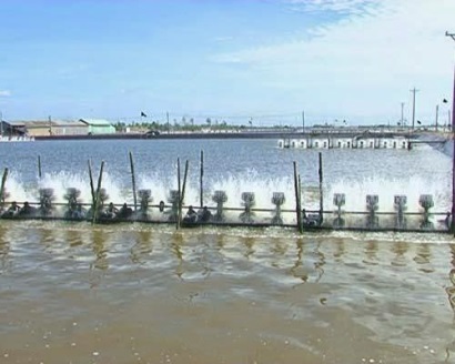 Đầu tư hàng trăm tỷ đồng xây dựng hạ tầng phục vụ nuôi tôm