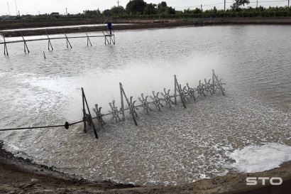 Giai đoạn chuyển từ mùa nắng sang mùa mưa Điều kiện môi trường có nhiều biến động gây bất lợi cho tôm nuôi