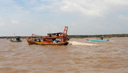 Bến Tre Thừa Đức khai thác sò huyết giống đợt 12019