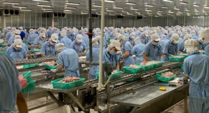 Trung Quốc - thị trường tiềm năng cho philê cá tra Việt Nam