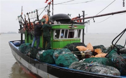 Nhiều hình thức xử phạt vi phạm hành chính trong lĩnh vực thủy sản