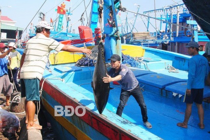 Sẽ cấp hạn ngạch khai thác cá ngừ đại dương