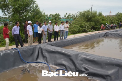 Bạc Liêu Sở TNMT Bàn giao hệ thống xử lý chất thải nuôi tôm siêu thâm canh
