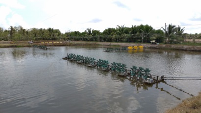 Bến Tre Sẽ đầu tư trên 2.500 tỷ đồng phát triển đối tượng thủy sản nuôi chủ lực