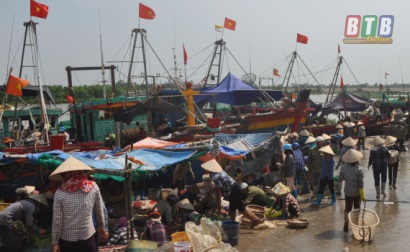 Thái Thụy Sản lượng khai thác thủy sản 6 tháng đầu năm tăng 6,5%