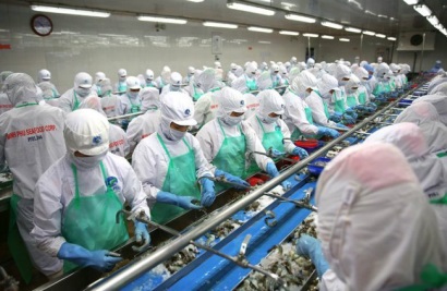 Thủy sản Minh Phú dự kiến lãi trước thuế 1,430 tỷ đồng cho năm 2019