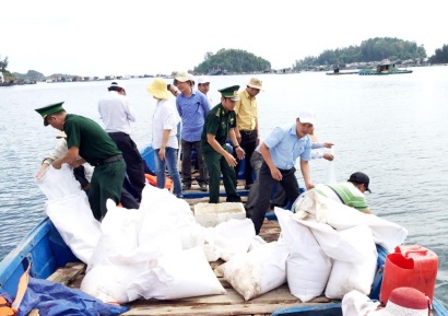 Quảng Ngãi Thả gần 2 triệu con giống phát triển nguồn lợi thủy sản