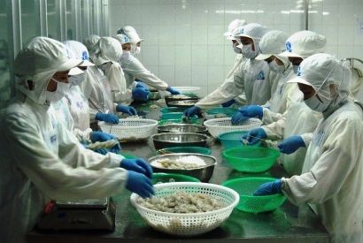 Giá thủy sản giảm mạnh Ngư dân khó chồng thêm khó