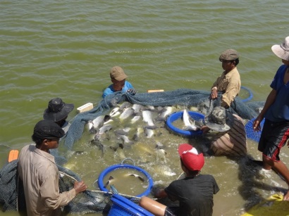 Xuất khẩu thủy sản sẽ tăng trưởng tốt hơn trong nửa cuối năm